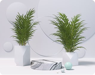 portfolio-image
